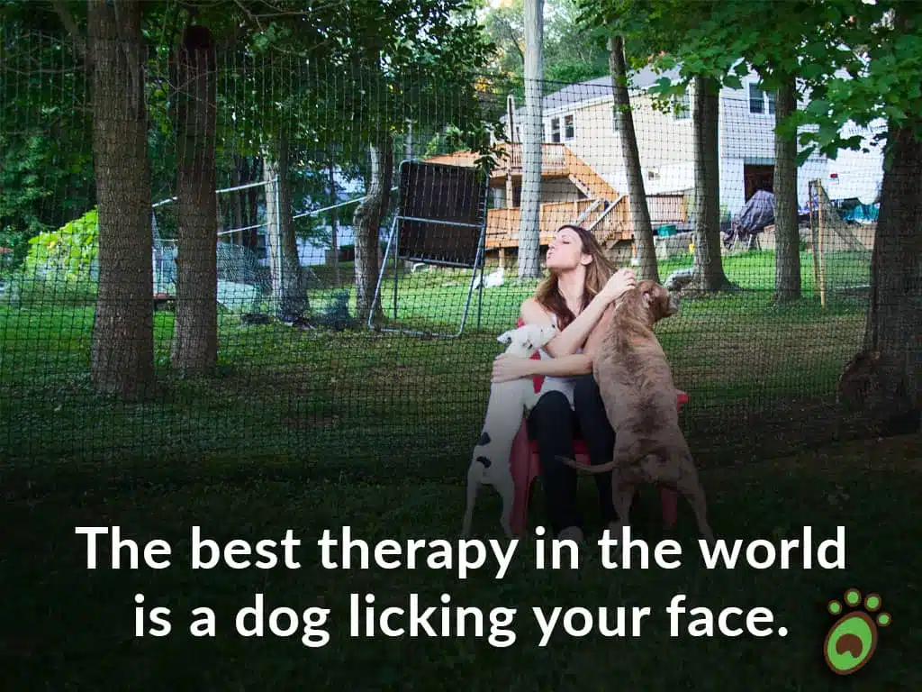 dog therapy