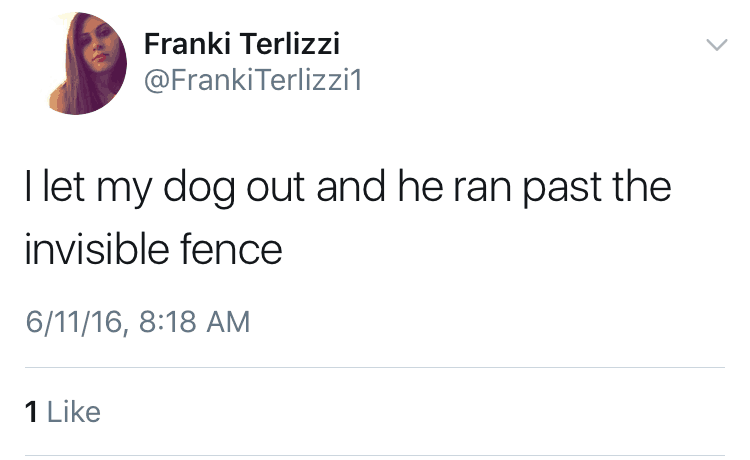I left my dog out and he ran past the invisible fence