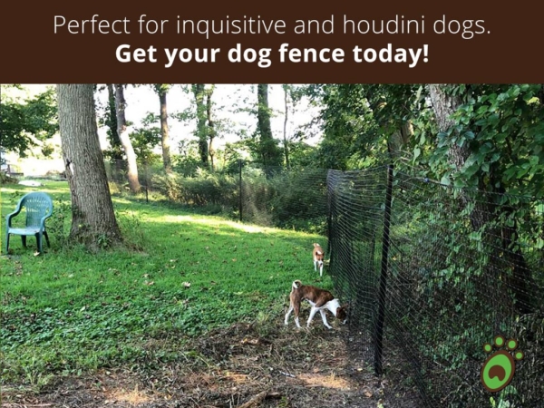 Pics and Video | Pet Playgrounds DIY Dog Fence Kits