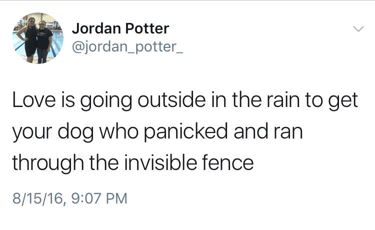 Love is going outside in the rain to get your dog who panicked and ran through the invisible fence.