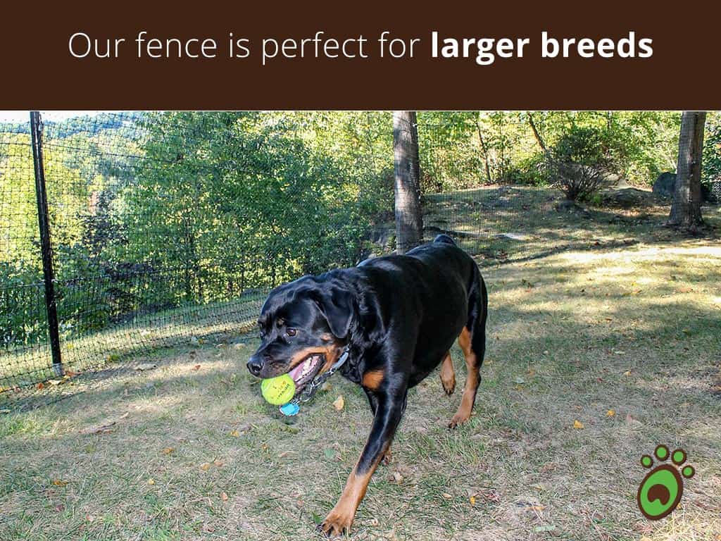 larger-breeds-dog-fence