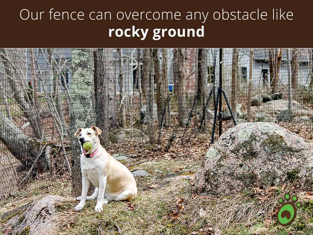 rocky-ground