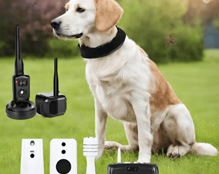 Best electric shock dog collar best sale