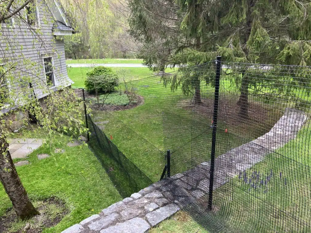 puppy fence outdoors