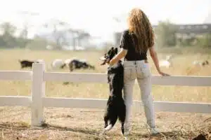 A person with curly hair stands at a fence, gazing into a field with grazing sheep, while a black and white dog stands on its hind legs beside them.