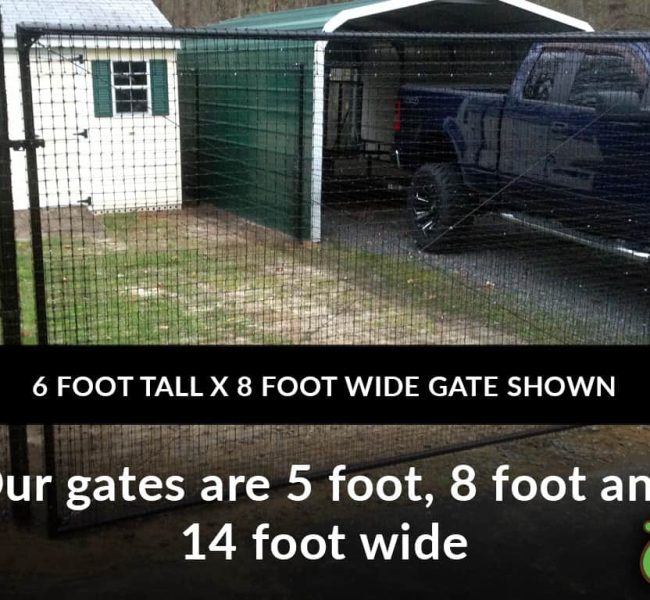 8footdoggate