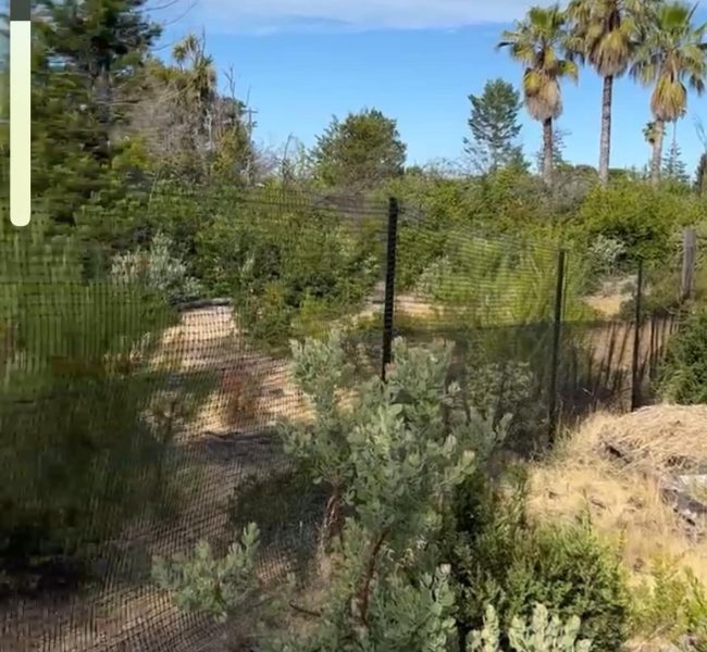 dog fence New Mexico