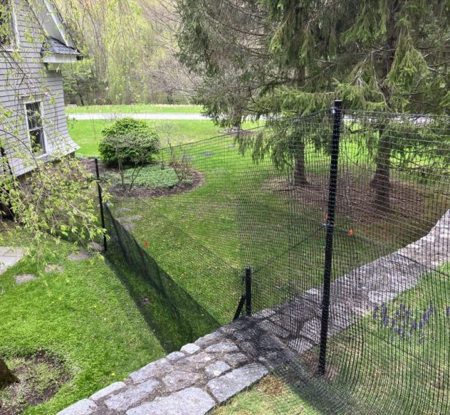 backyard-dog-fence-ideas