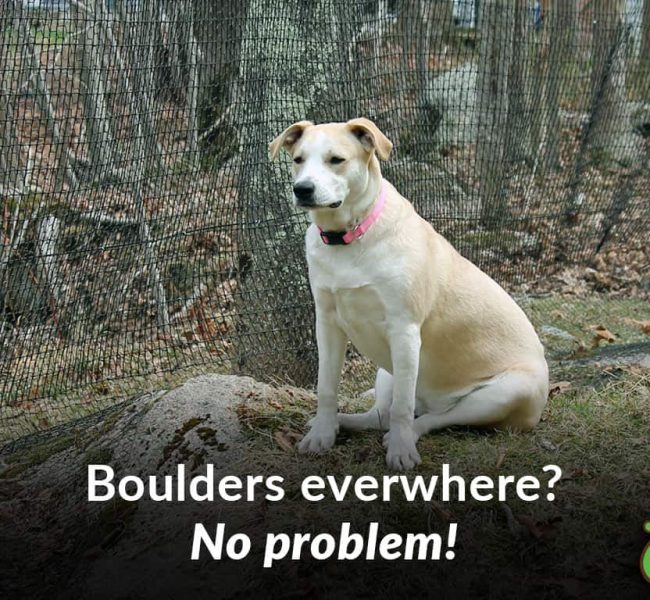 boulder dog fence