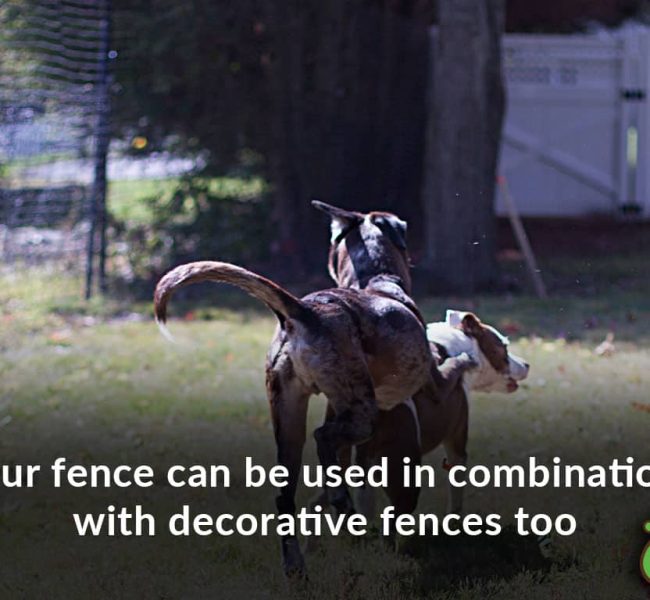 decorative fence dog fence