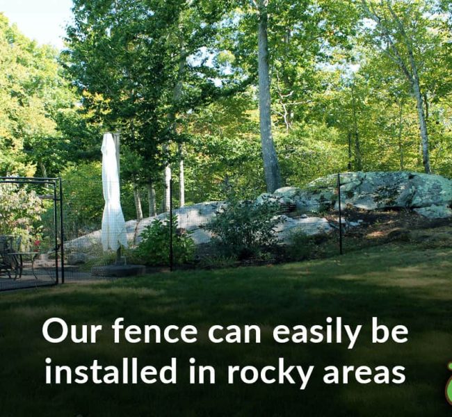 fence with gate big rock dog fence