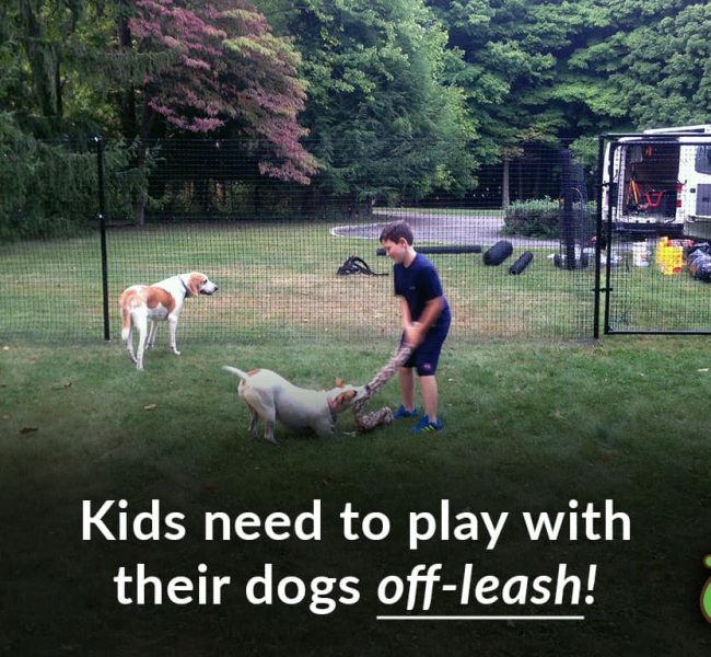 kid play with dog off leash fence