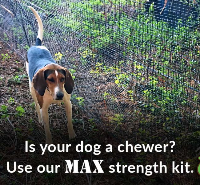 max strength beagle dog fence