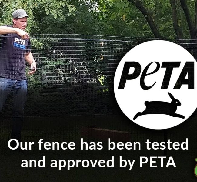 peta tested approved dog fence