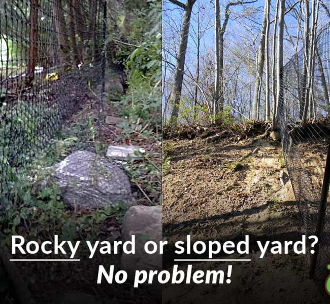 rocky or sloped yard