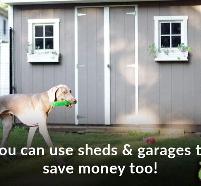 sheds and garages dog fence